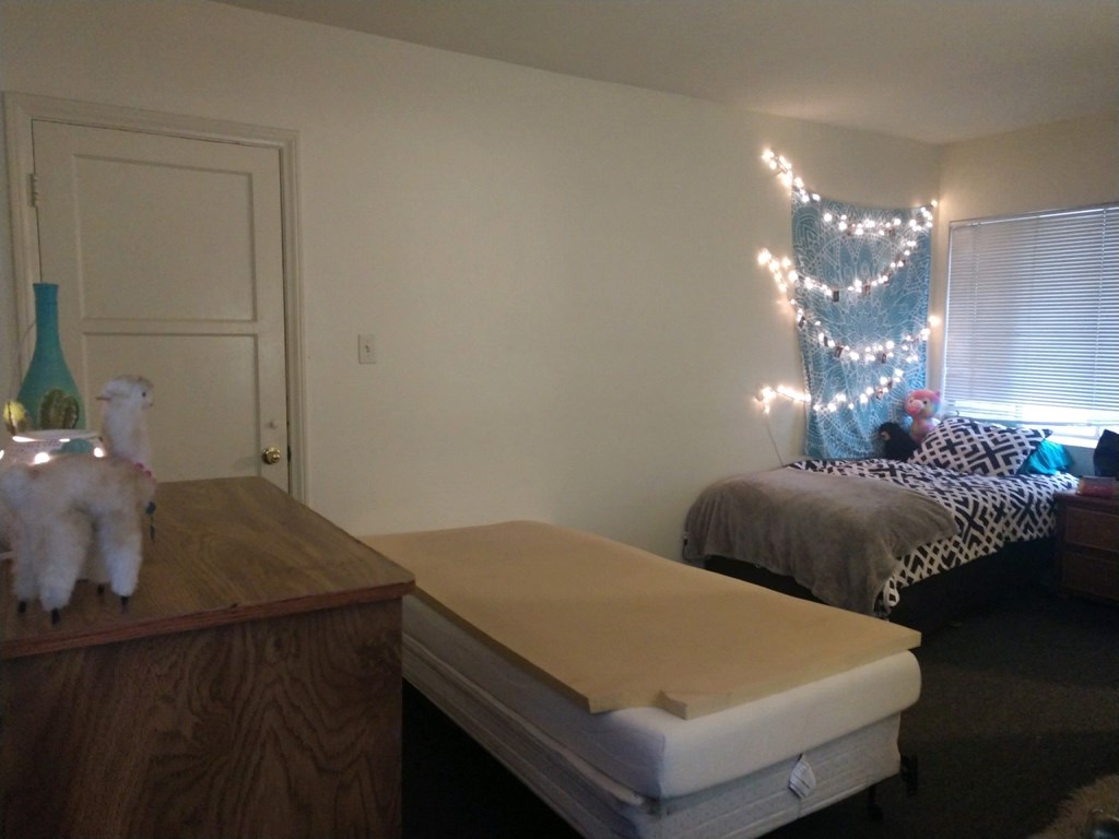 625 per month room to rent in Westwood Village available from March 16