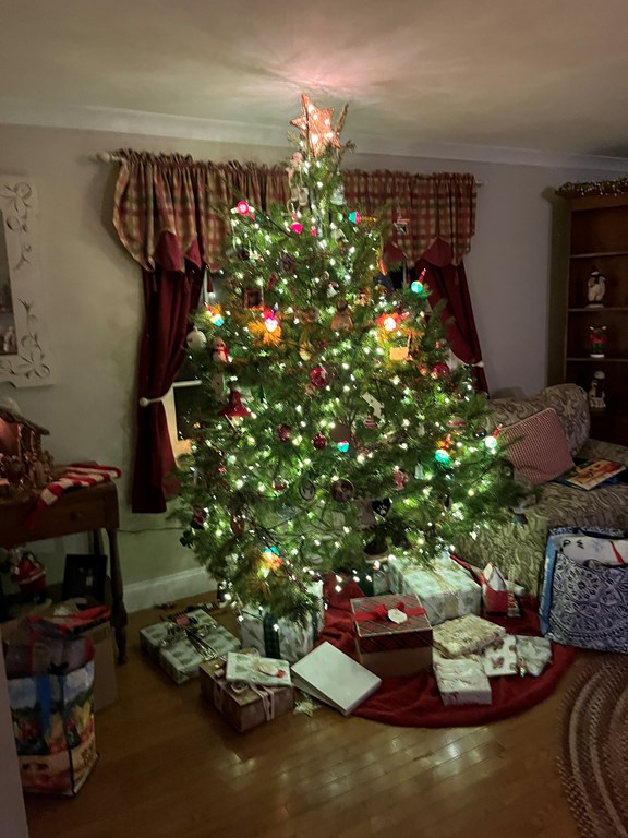 500 per month room to rent in Mount Vernon Woods available from April