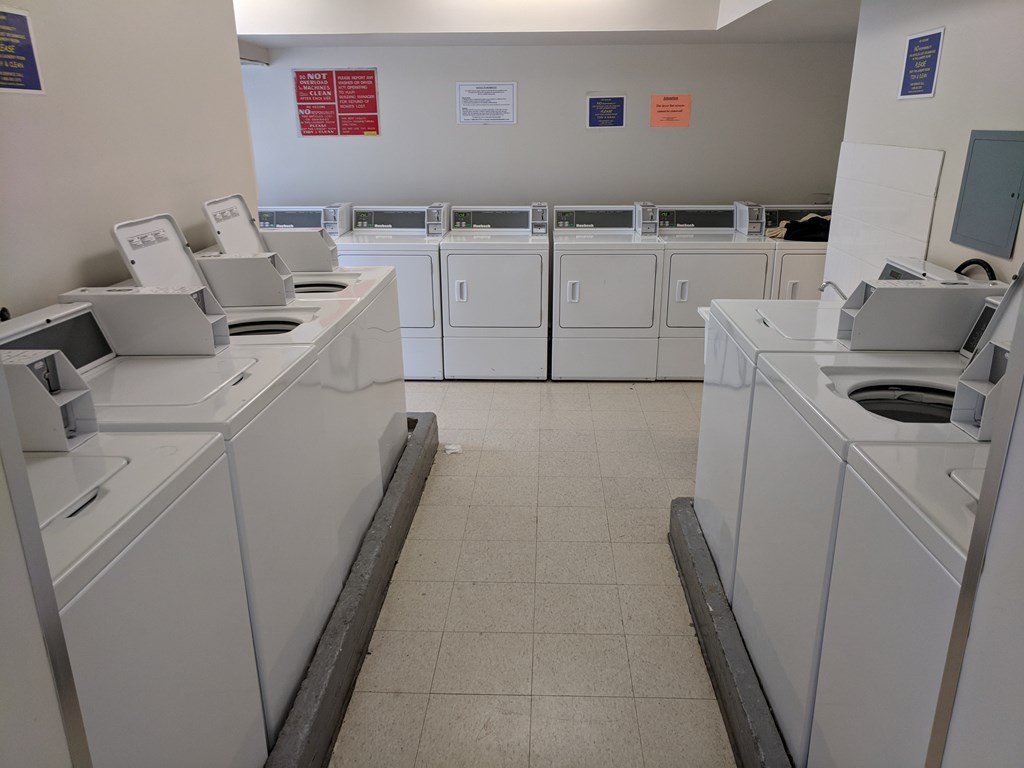 900 per month room to rent in Ryerson University available from May 31, 2018 Kangaroom